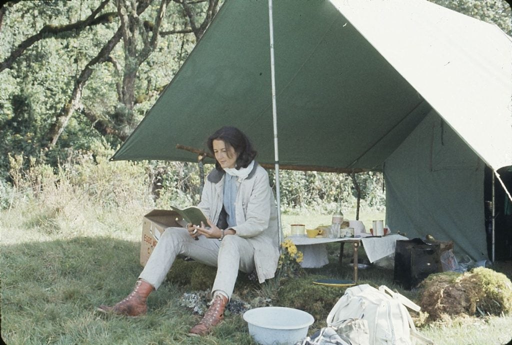  Karisoke Research Center: Dian Fossey reading a book under the shade of a tent at her base camp. 