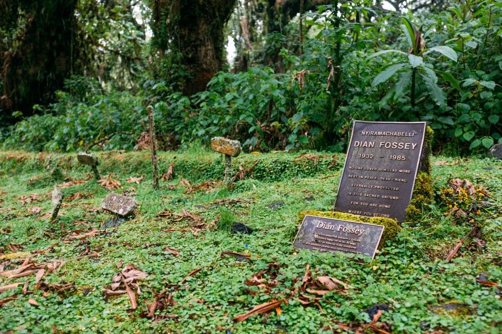 The graveyard of Dian Fossey: Dian Fossey and Digit's gravestones lay side by side in the midst of the forest