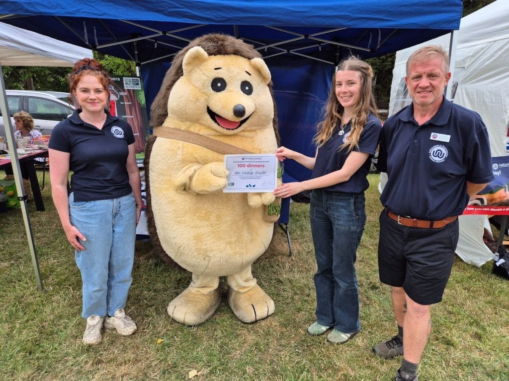 Naturewatch Foundation team members donate 100 nutritious dinners to Vale Wildlife Hospital to support the care of rescued wild animals.