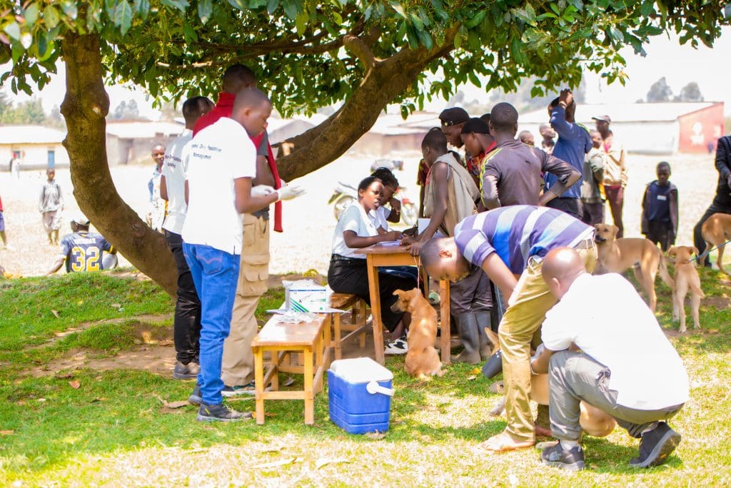 RAWO volunteers and veterinarians registering dog owners and vaccinating dogs under a tree during Rwanda’s first public World Animal Day celebration.