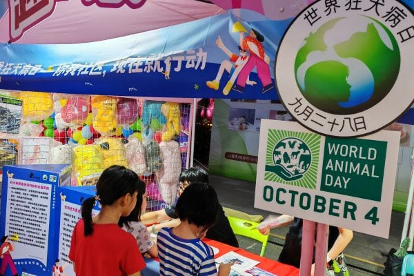 Children take part in an Animals Asia event in China celebrating World Animal Day, featuring colourful displays about pet care and rabies prevention.