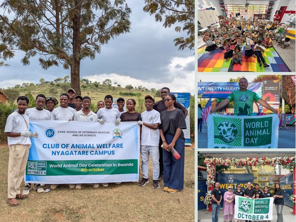 A collage of World Animal Day celebrations around the world. The large image shows a group of veterinary students standing beneath a tree in Rwanda, holding a banner reading “Club of Animal Welfare Nyagatare Campus” and “World Animal Day Celebration in Rwanda”. The three smaller images show children holding books in a classroom, a man holding a World Animal Day banner at a marathon event in the United States, and a group of people outside a school holding a World Animal Day October 4 banner.